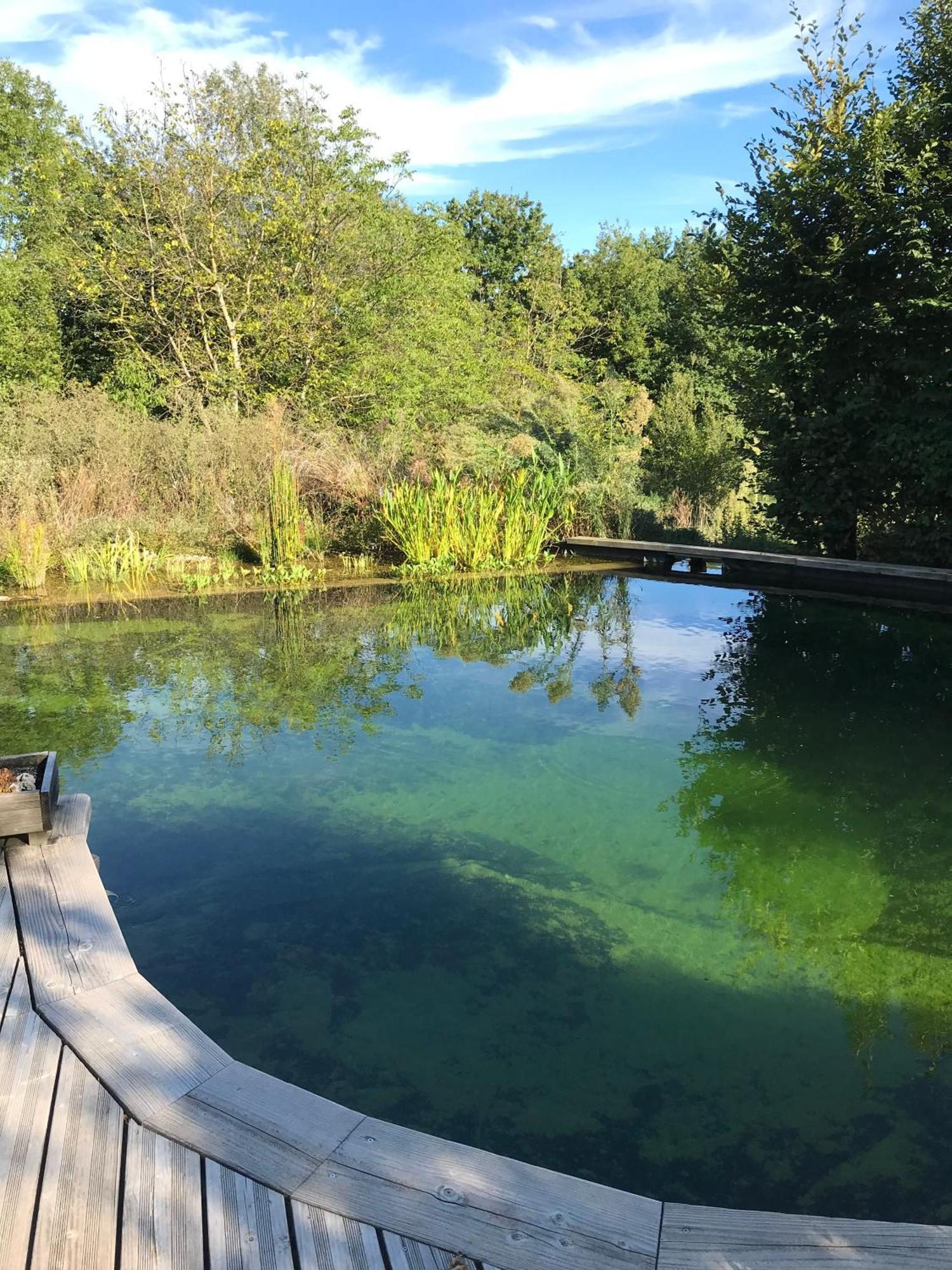 Ecolieu Le Chant Du Temps Bed and Breakfast Saint-Usuge Exterior foto